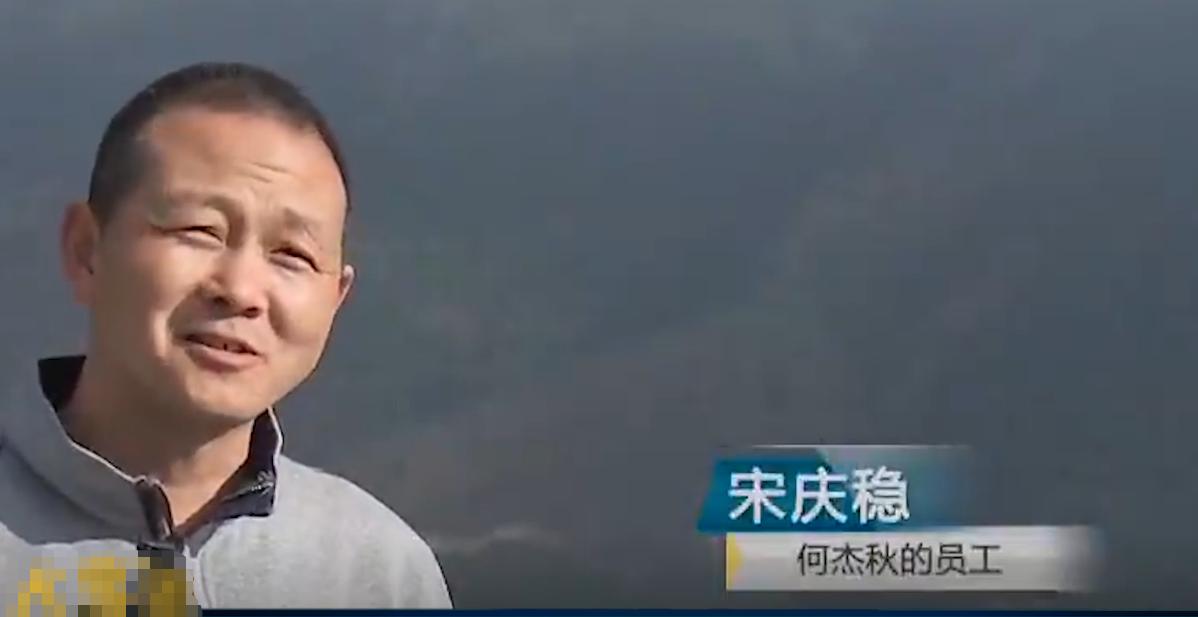 万尾鱼苗离奇失踪,鱼苗死亡鱼苗老板有责任吗