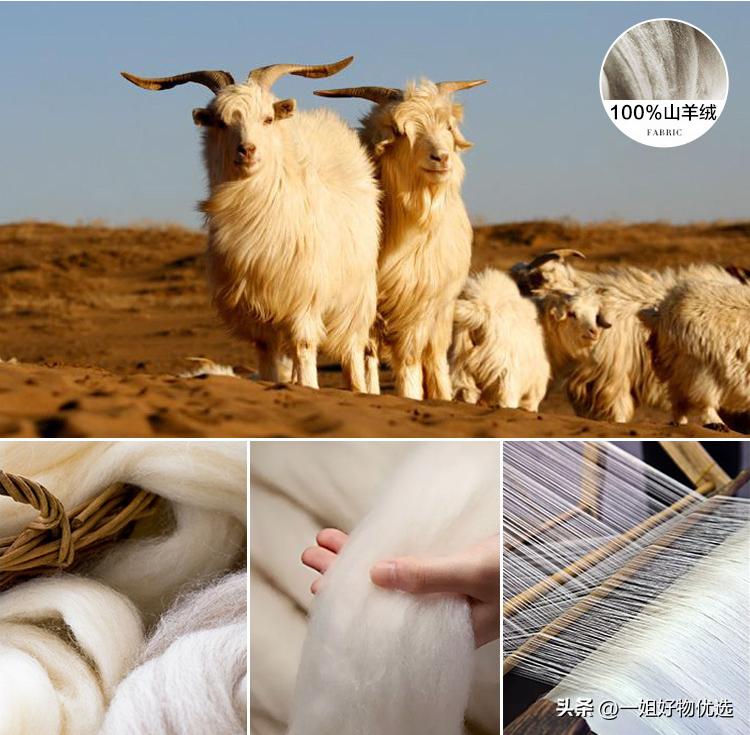 什么牌子的男款羊绒围巾好,鄂尔多斯羊绒围巾品牌排名