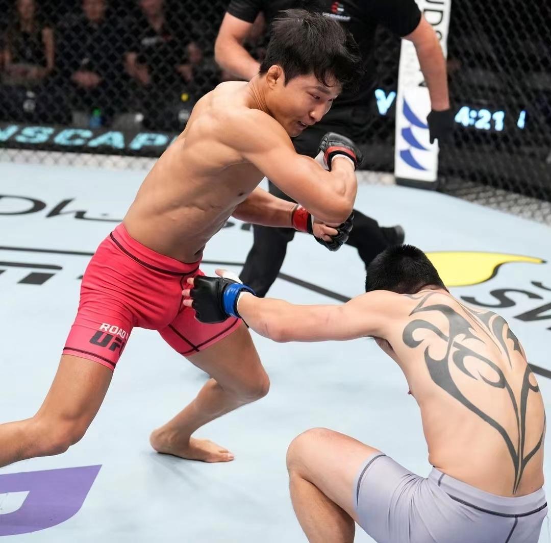 中国ufc第一人有多强,中国最先进的ufc第一人