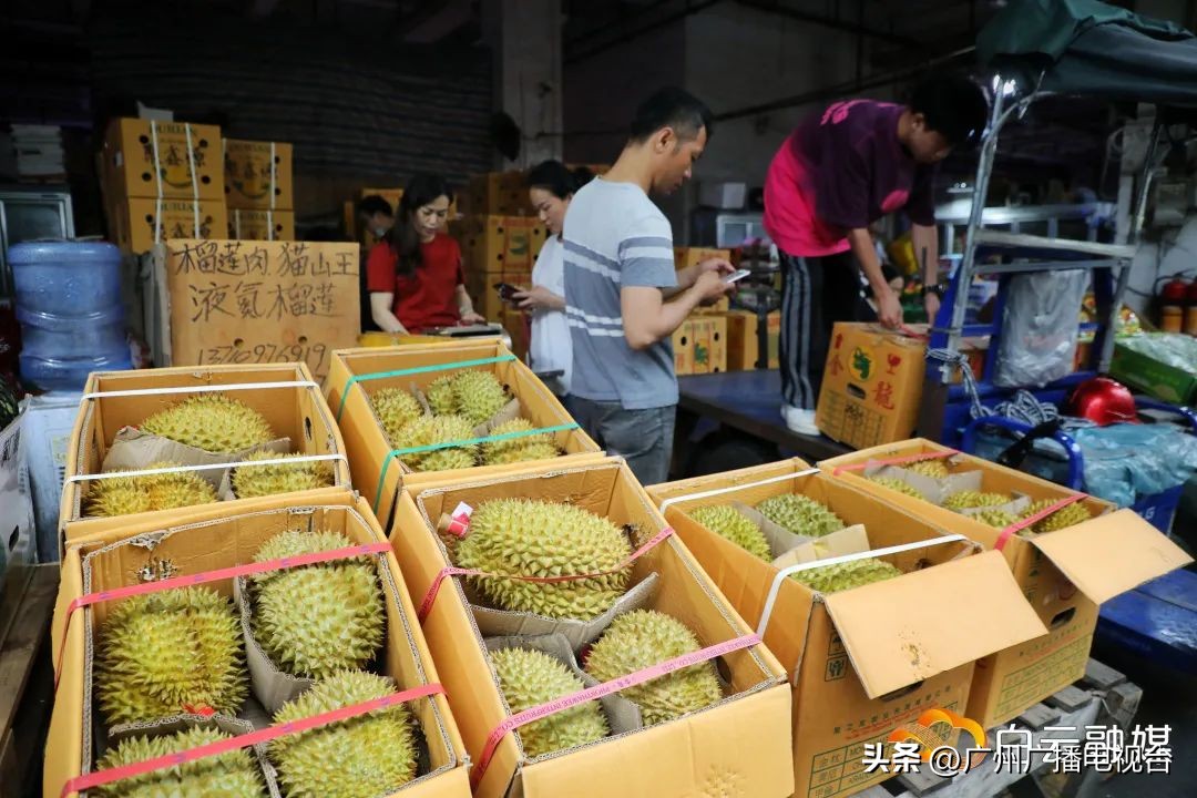 广州哪里榴莲批发最便宜,进口的榴莲多少钱一斤