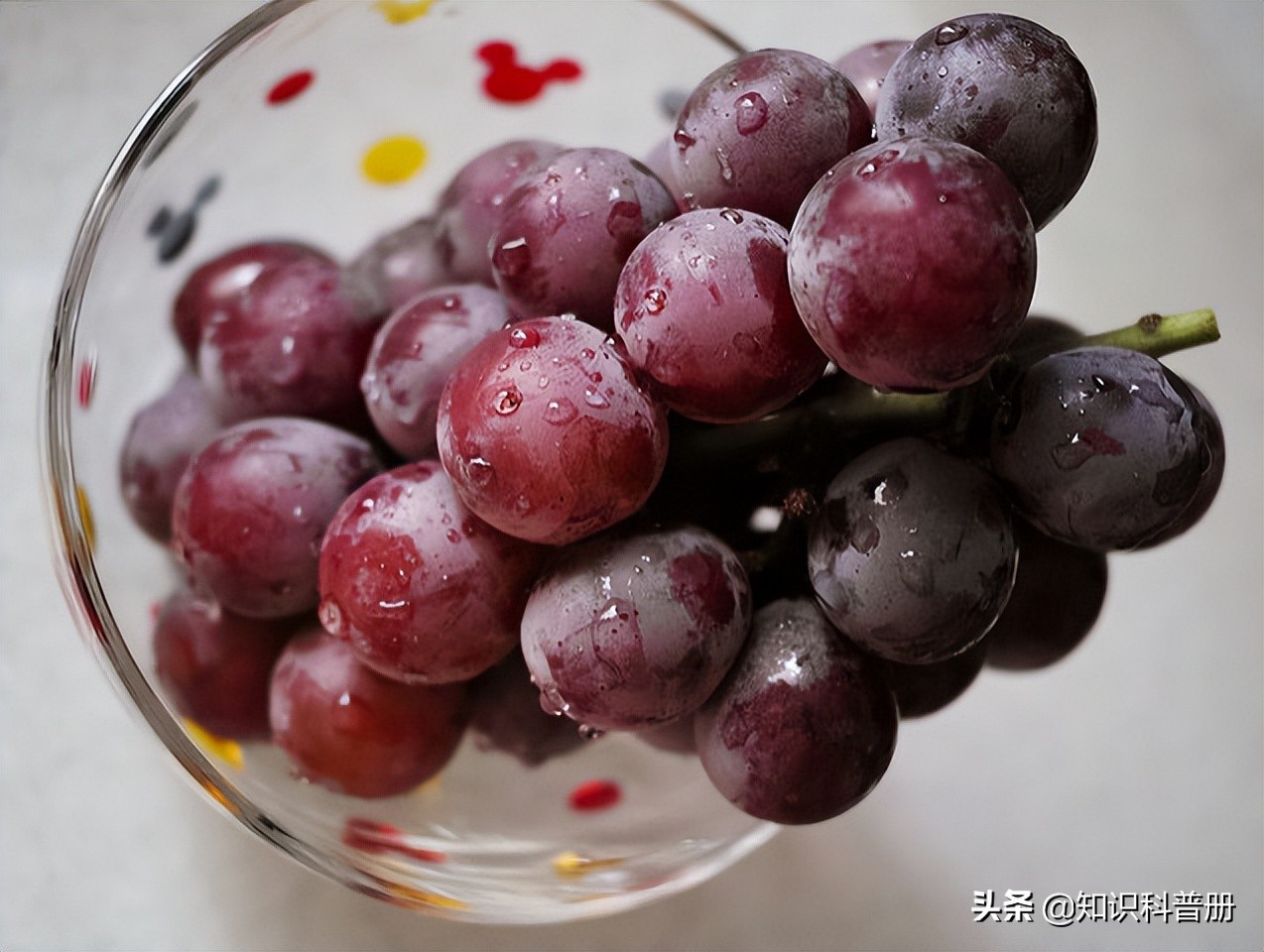 十种能吃的水果,哪种水果最健康