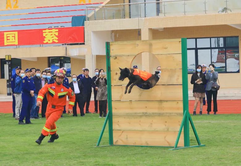 王鹏这个人怎么样,王鹏评价