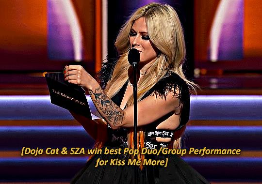 豆荚猫红色造型秀场,豆荚猫秀场图片