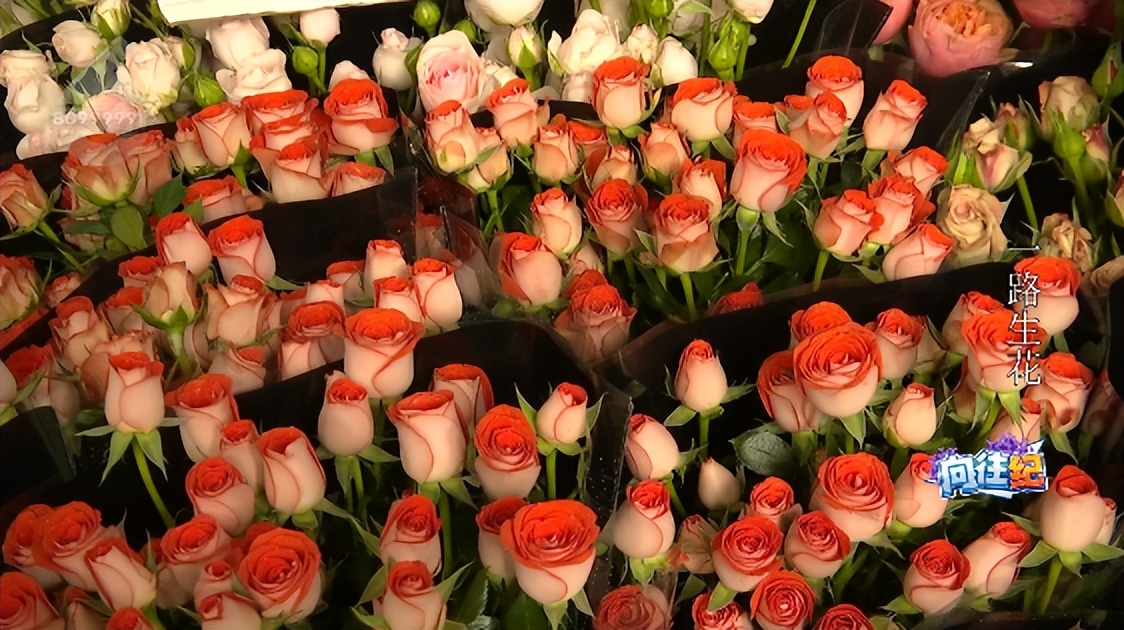 盘点人们都向往的工作,向往的工作和现实的工作