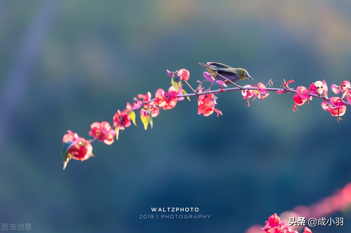 让女人爱到深处的男人,让女人死心塌地上瘾的男人