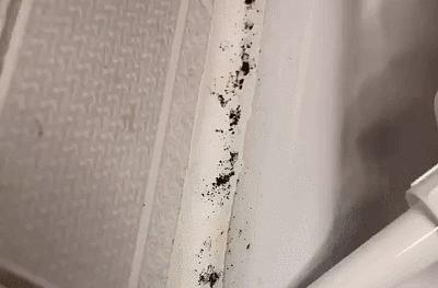 很容易粘毛的衣服该怎么洗,衣服洗完污渍怎么去掉