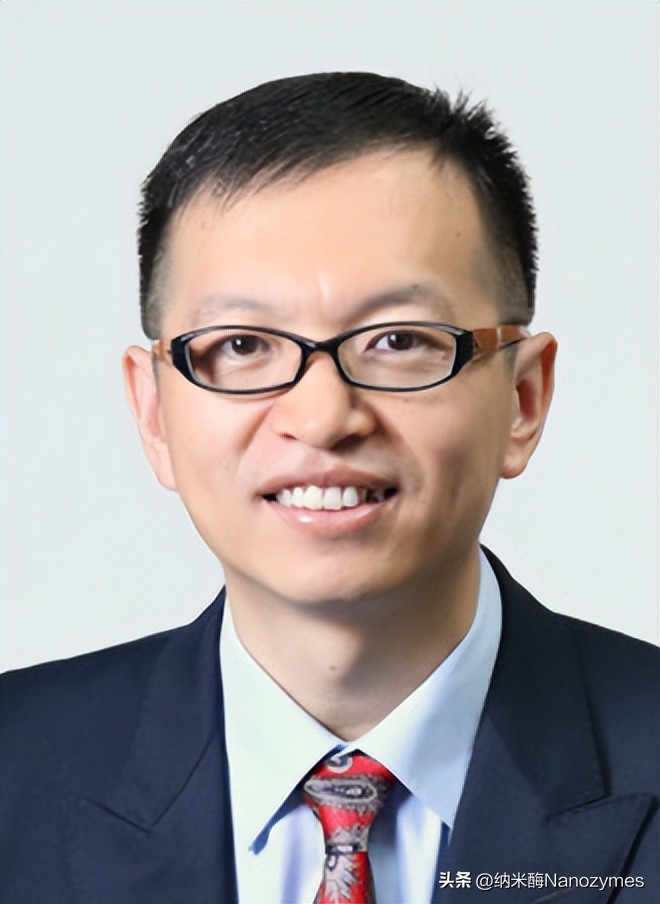 「转载」Angew.Chem.Int.Ed.|Cu单原子纳米酶用于光热疗法