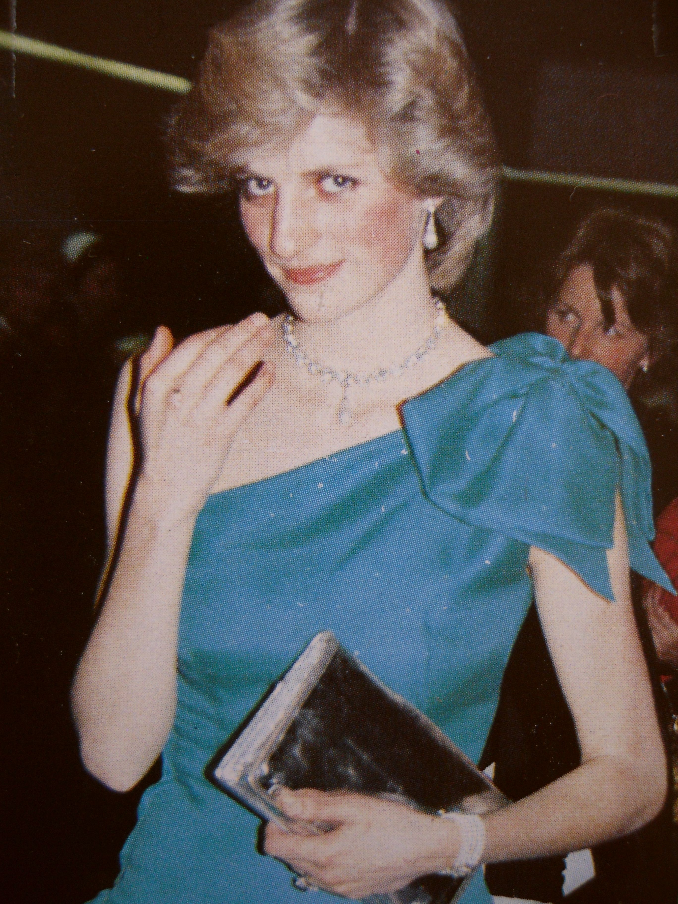 戴安娜王妃的蓝丝绒礼服,戴安娜王妃惊世容颜