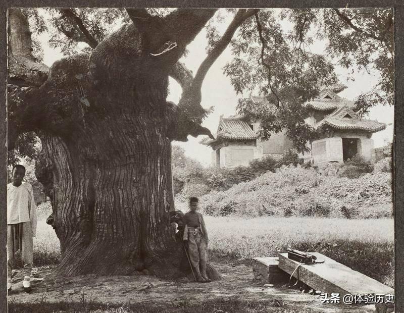 【晚清真实影像】花楼女子丰乳肥臀,30张老照片尽显绝代风华