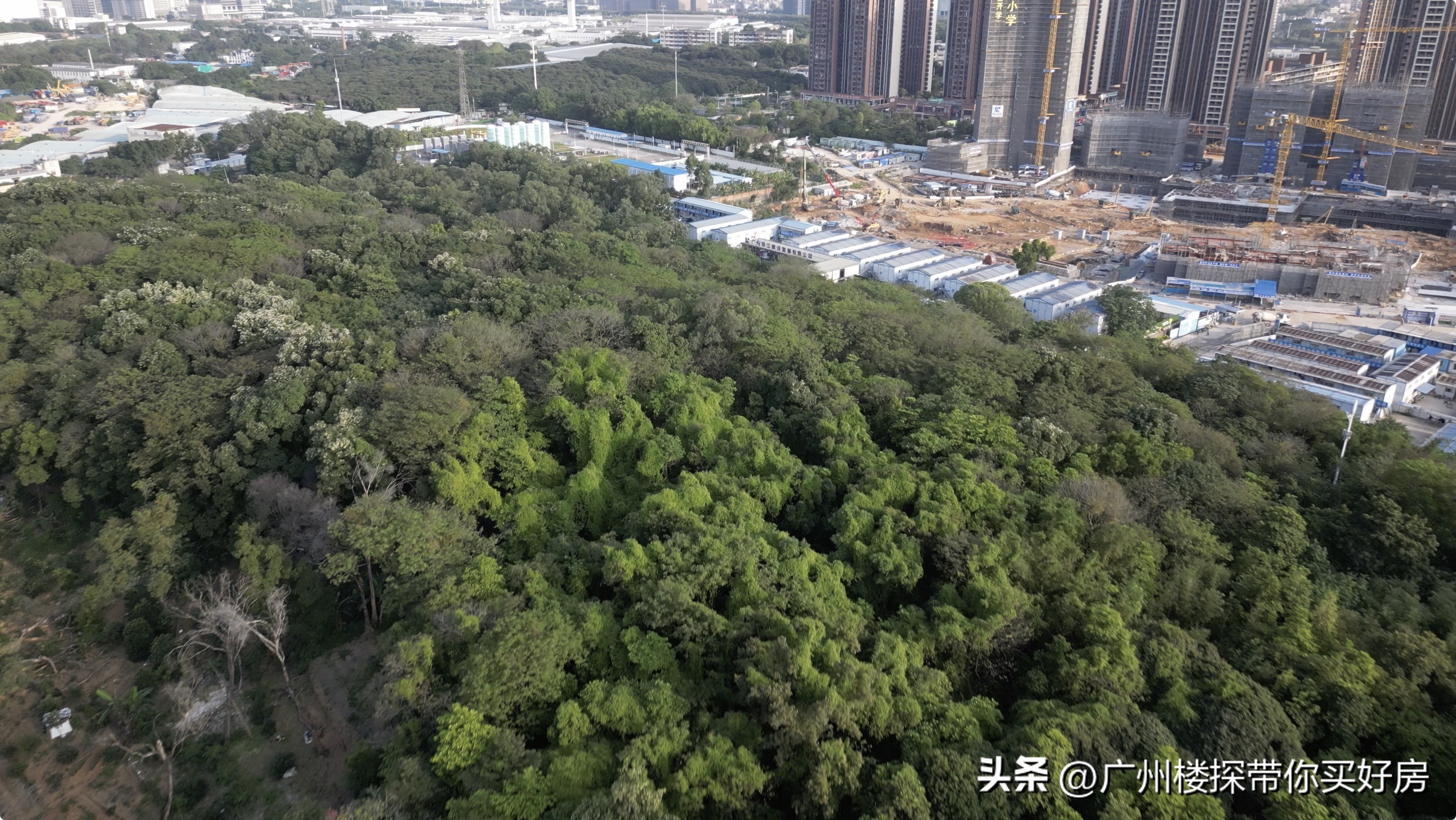 踩盘文津府（原执信花园），天河执信好美啊！