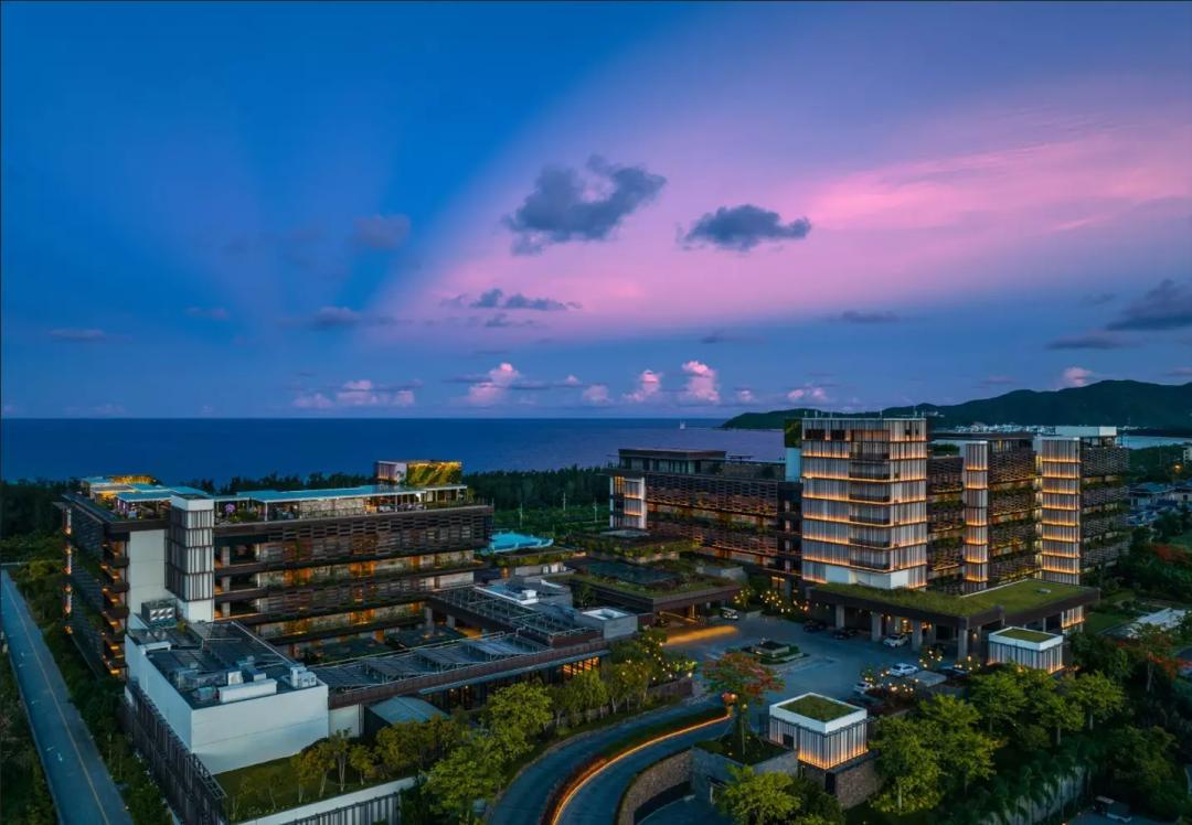 湾区羙好生活周报｜花漾绽放，指尖优雅