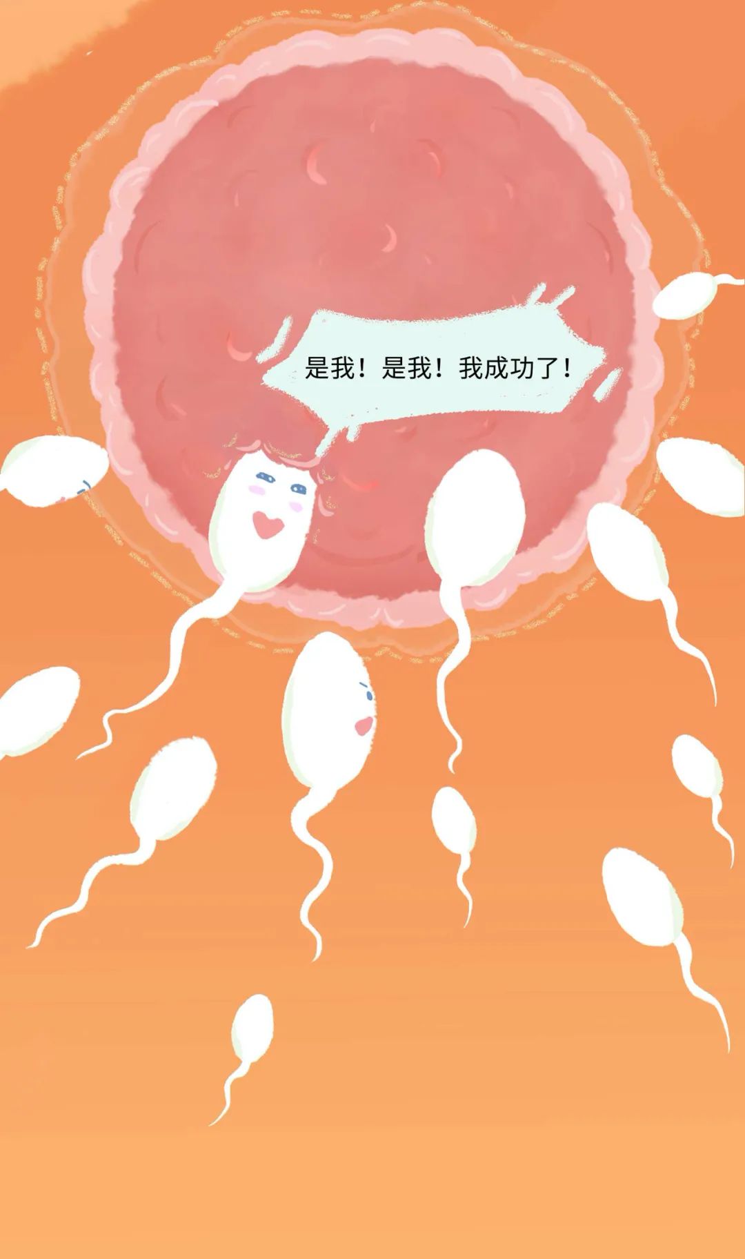 古代女人怀孕了要生宝宝漫画,怀孕的过程讲解漫画