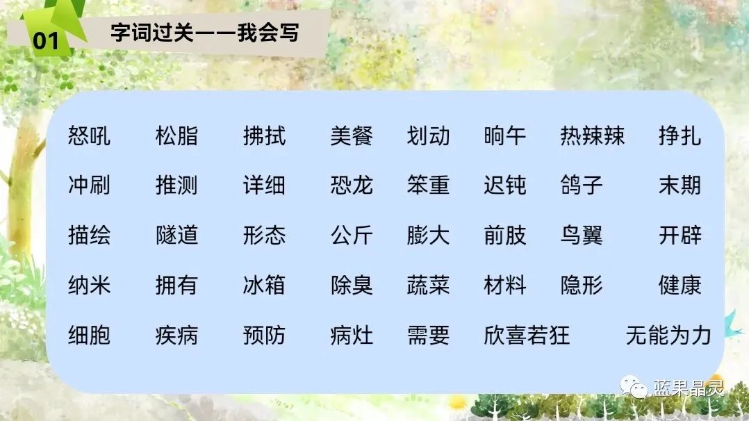 四下语文:第2单元课本内容(复习+练习)