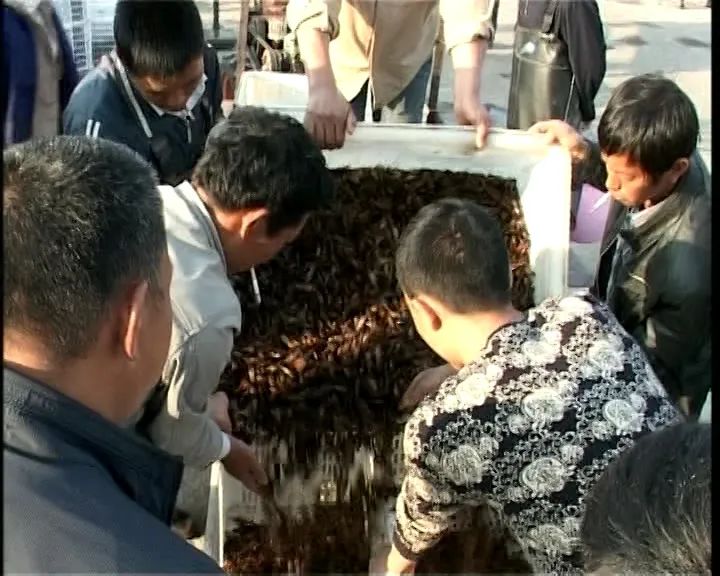 鄂州泽林镇新闻,鄂州泽林镇最新规划