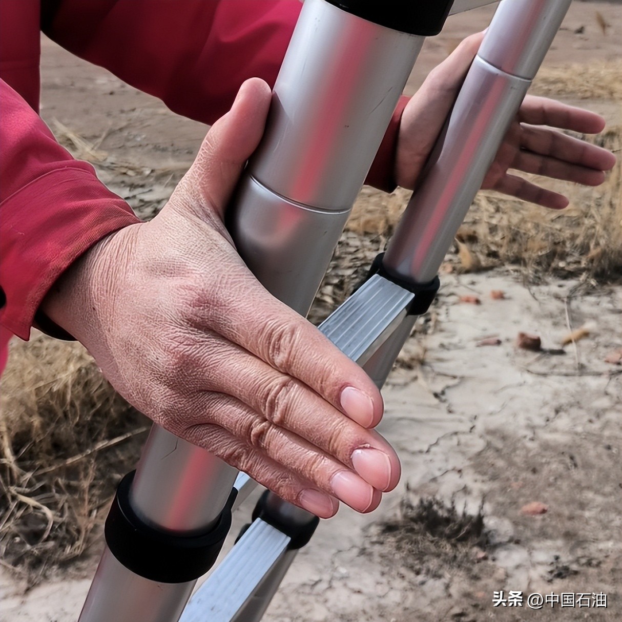 特别策划案例,特别策划系列