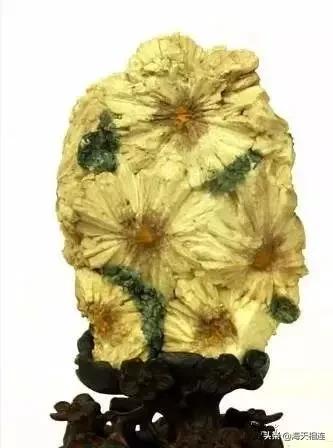 难得一见的仙鹤假奇石,这些难得一见的奇石美醉了