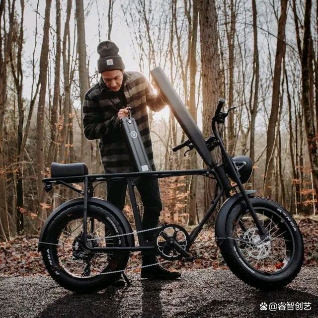 德国复古电动单车,复古单车电动