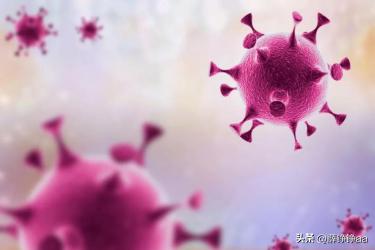 番茄青枯病害鉴别,分离番茄茎腐病真菌的方法