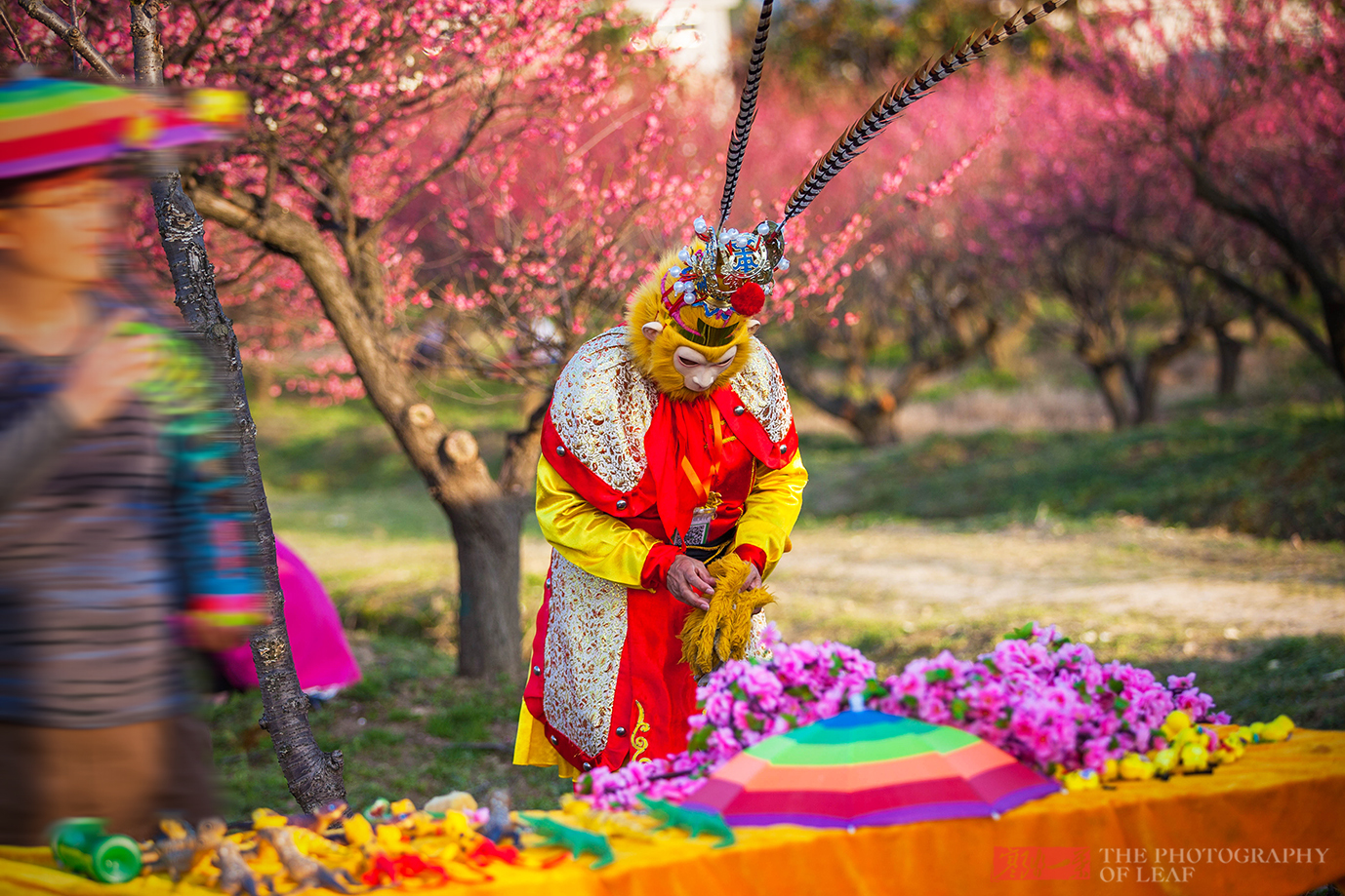 海外问卷调查教程怎么拿钱,海外问卷调查一个月能做多少