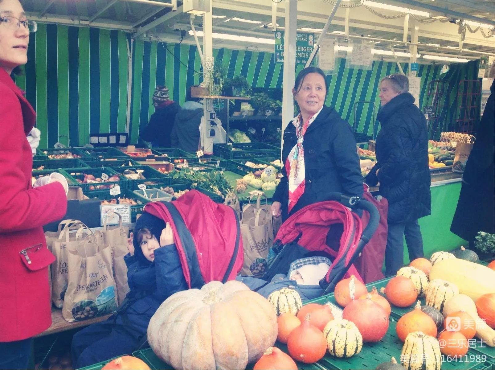 西欧七国是哪七国地图,西欧七国由哪些国家组成