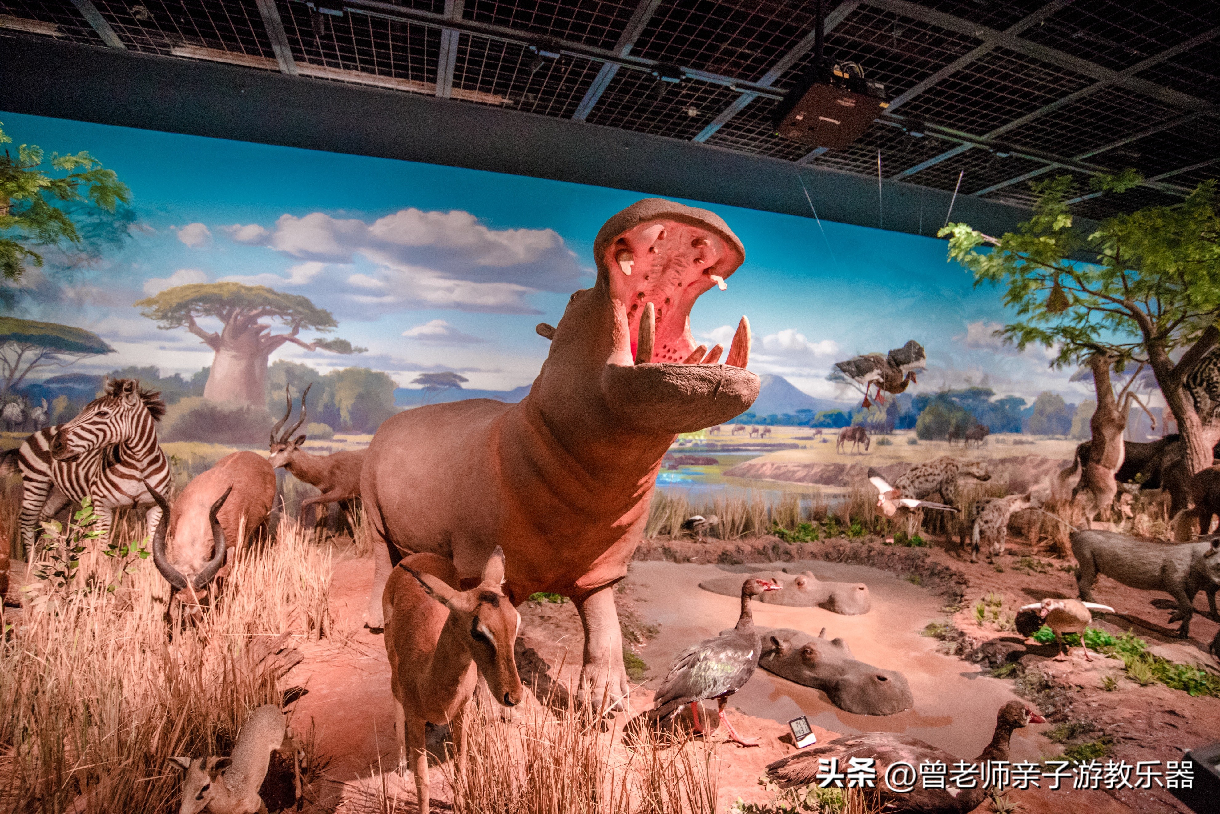 西安出发自驾亲子游,西安亲子游十大排名