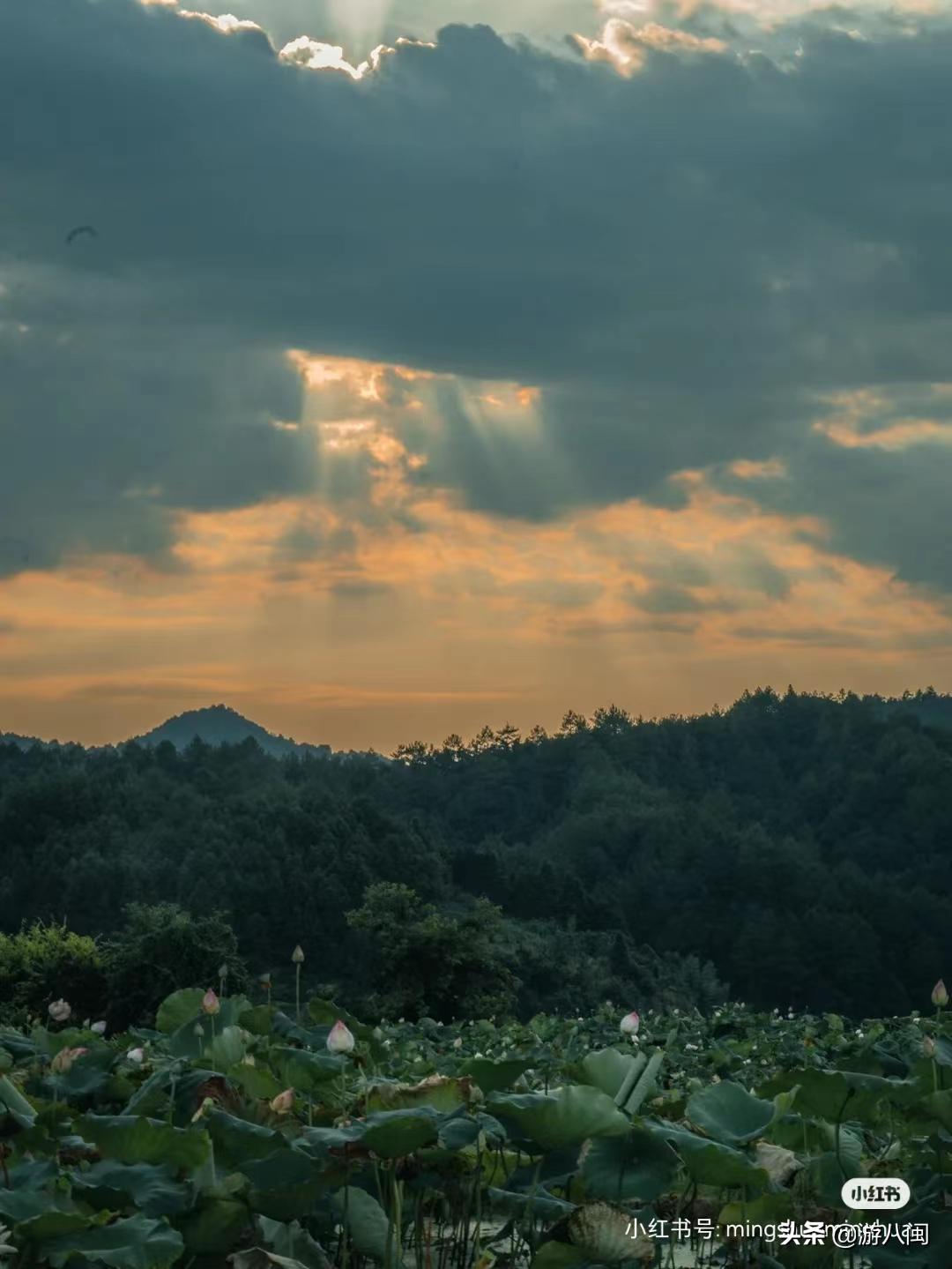 世界最大的梯田,世界梯田之最