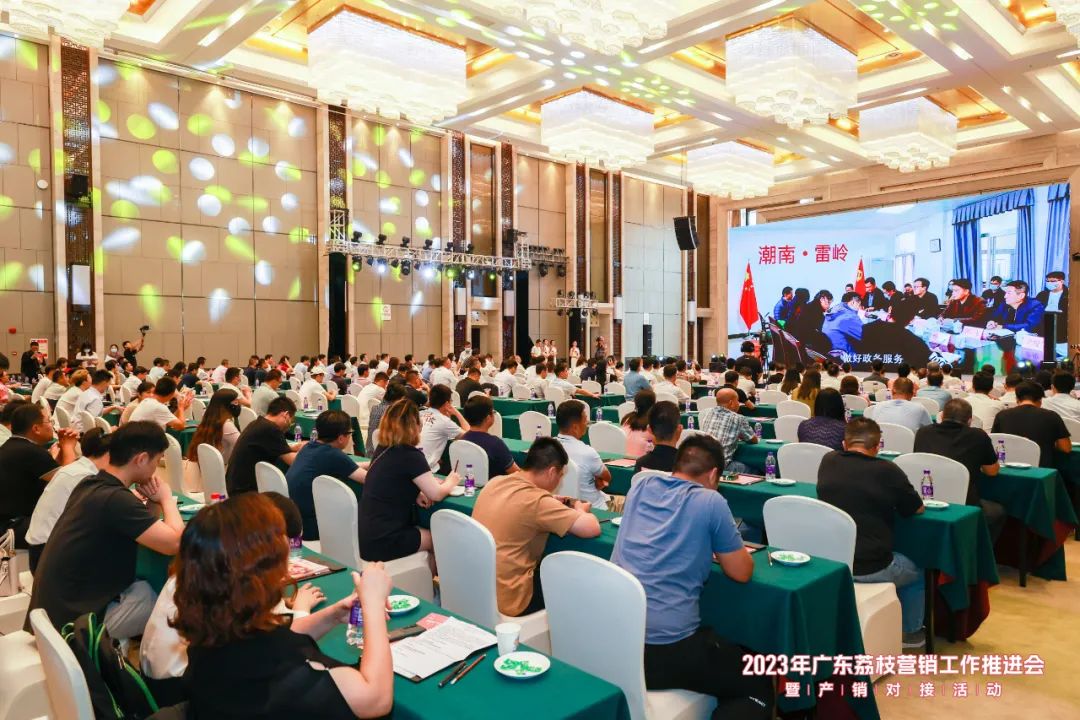 喊全球吃广东荔枝！2023年广东荔枝营销工作推进会暨产销对接活动在广州增城举办