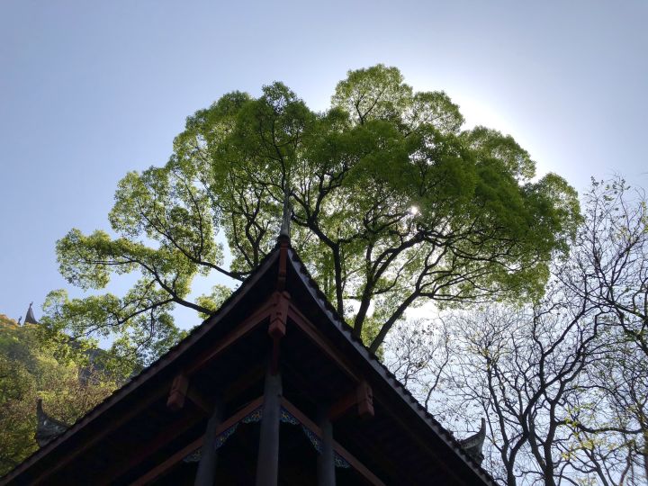重庆主城小众打卡地,重庆周边小众自驾旅游