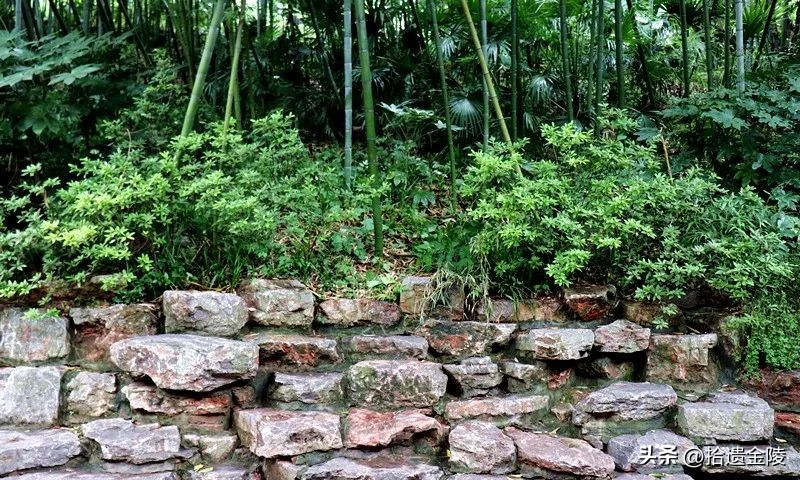 南京清凉山公园以前是火葬场吗,南京清凉山公园最新消息