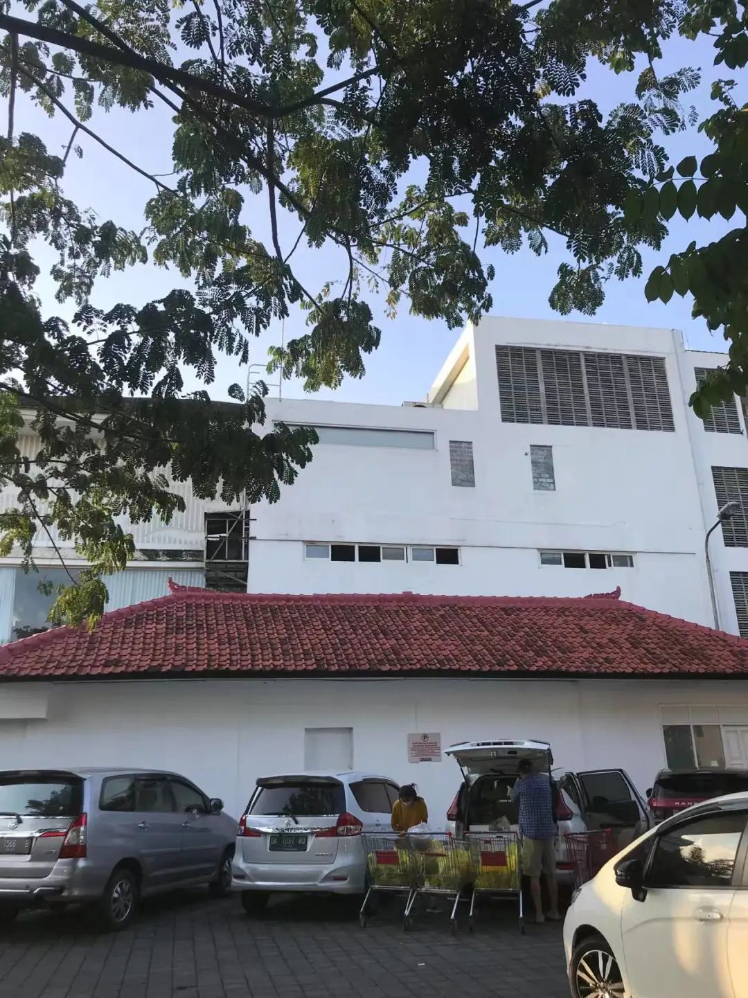 两名中国游客不幸身亡事件,两名中国游客身亡原因