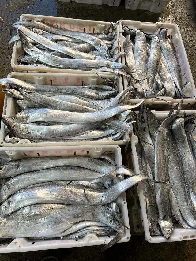 上海军工路东方国际海鲜市场,上海江杨路海鲜批发市场