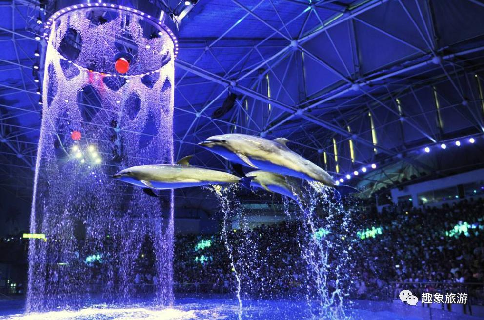 大连老虎滩海洋公园冬季好玩儿吗,大连老虎滩海洋公园游玩视频