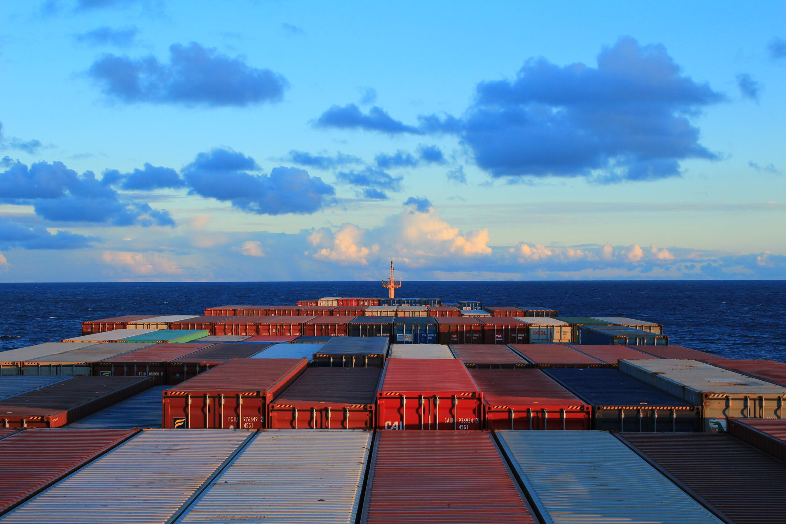 在我当船员的岁月里，我养大了一只海豹，尽管不舍也放它回归大海