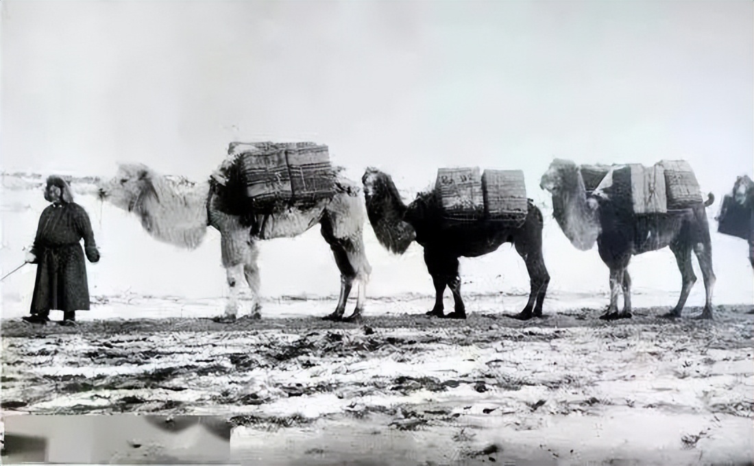 怎么靠互联网创业项目挣钱,2023年必火的互联网创业项目