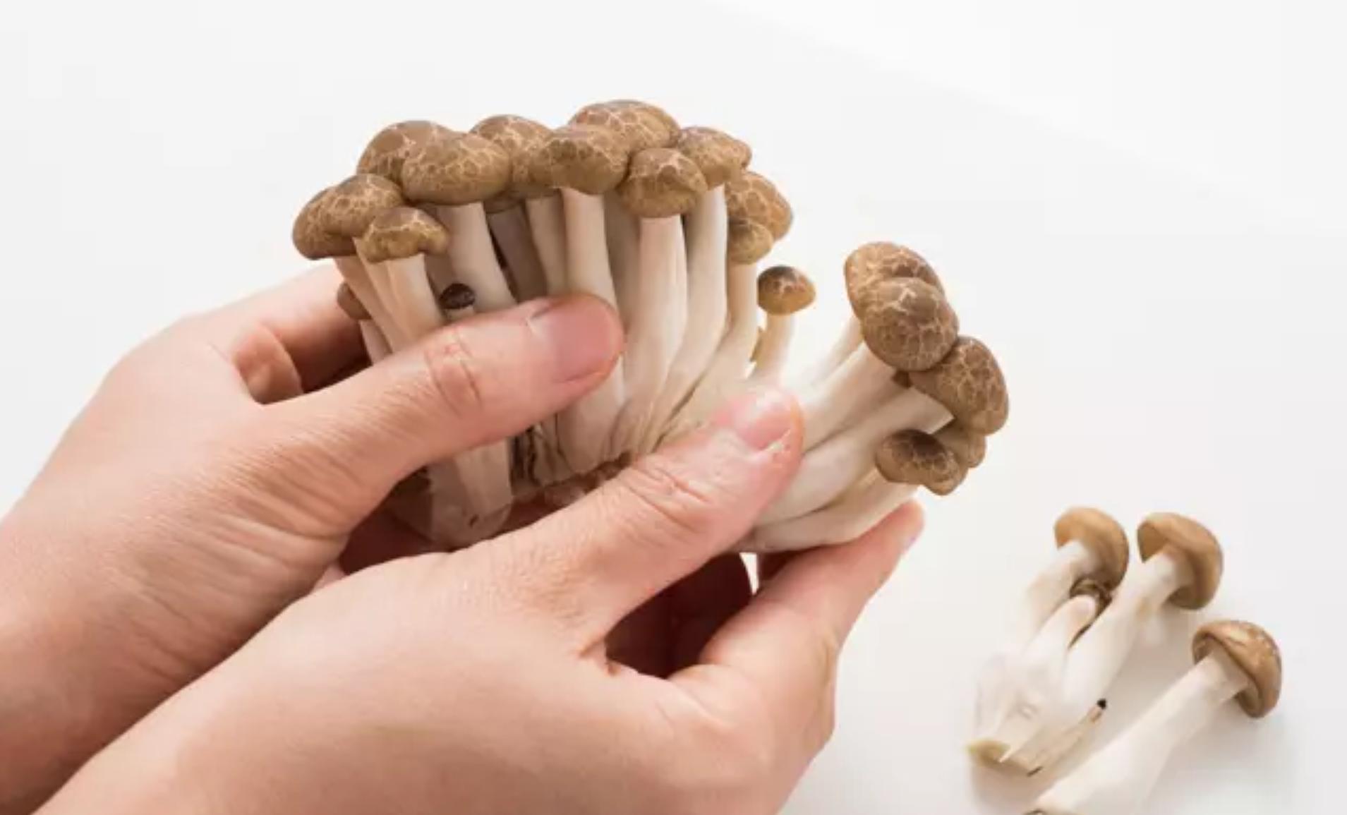 菇类怎样保存时间长,菇类怎么冷冻保存