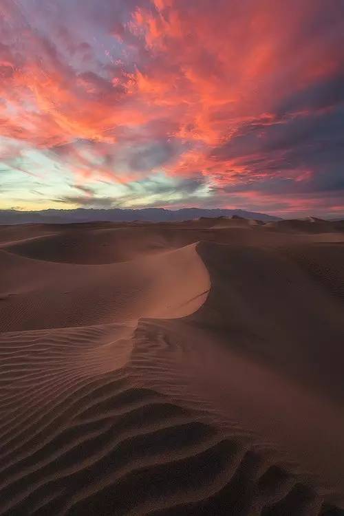 欣赏｜这七种色彩，装点了红尘人间！