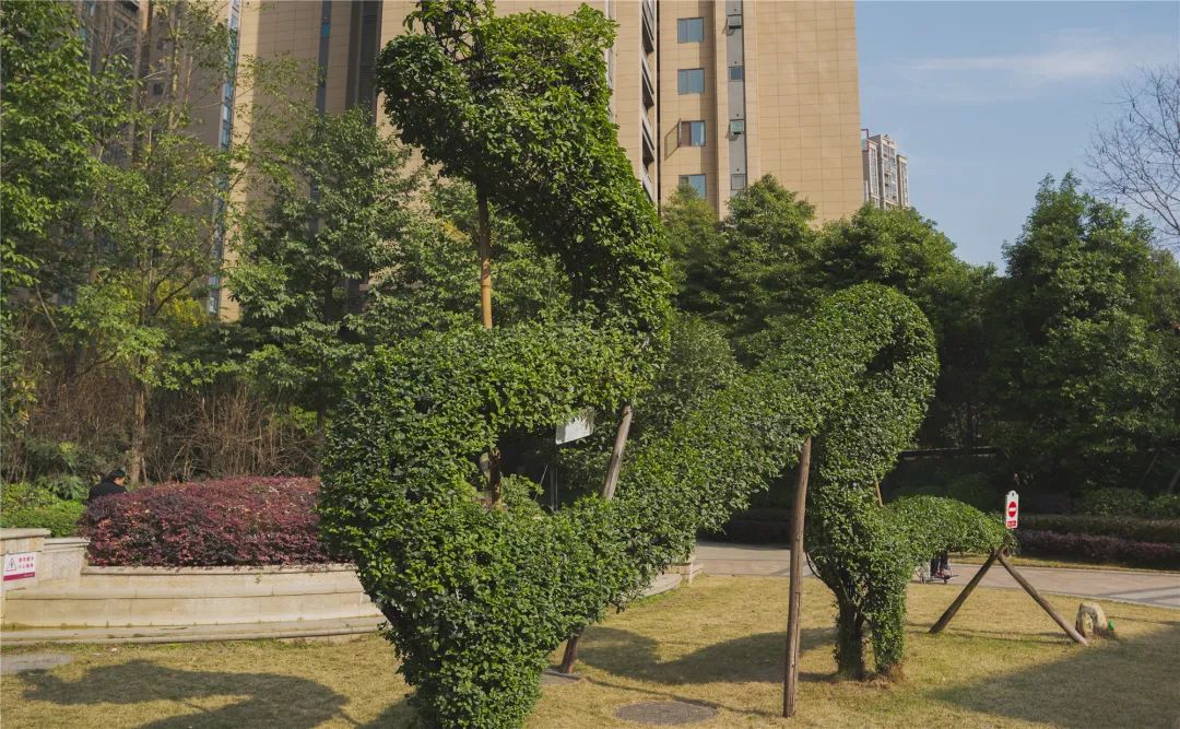 成都双流航空港公认最好的小区,双流环境品质好的小区都有哪些