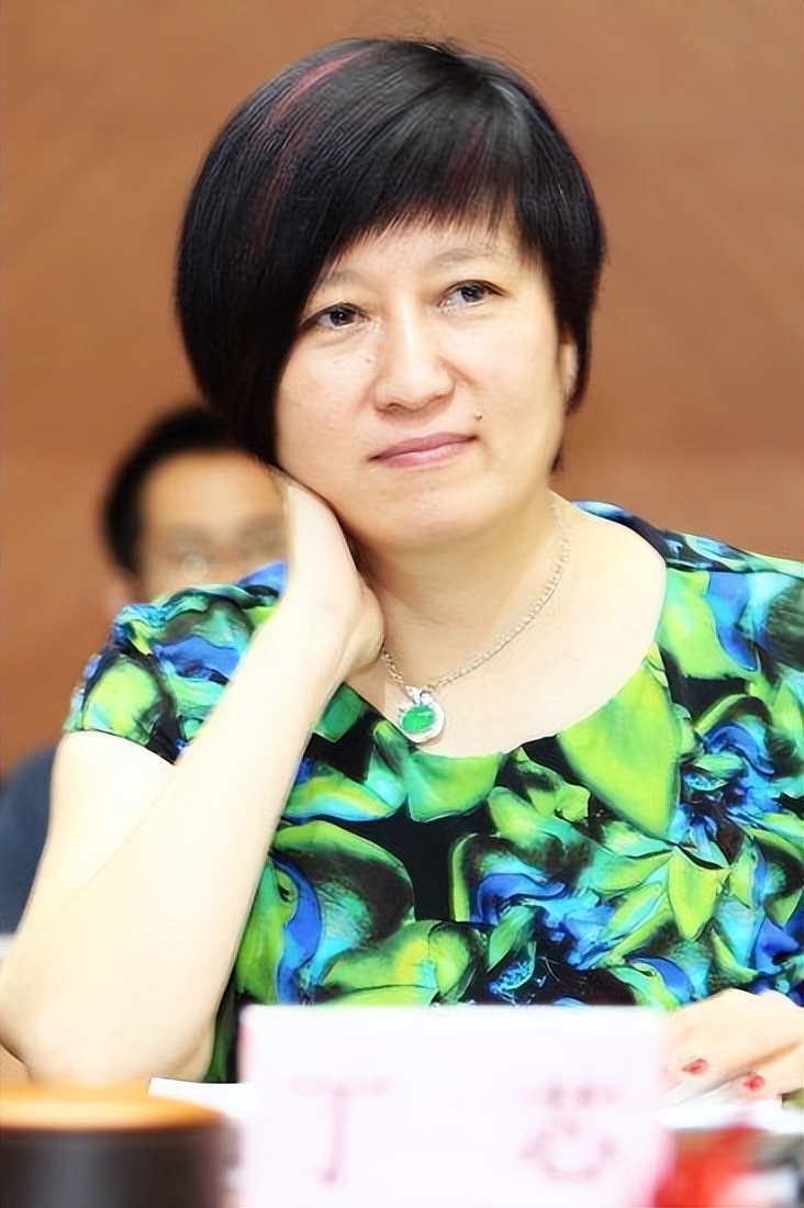 丁蕊赵宝刚,丁芯结婚了吗