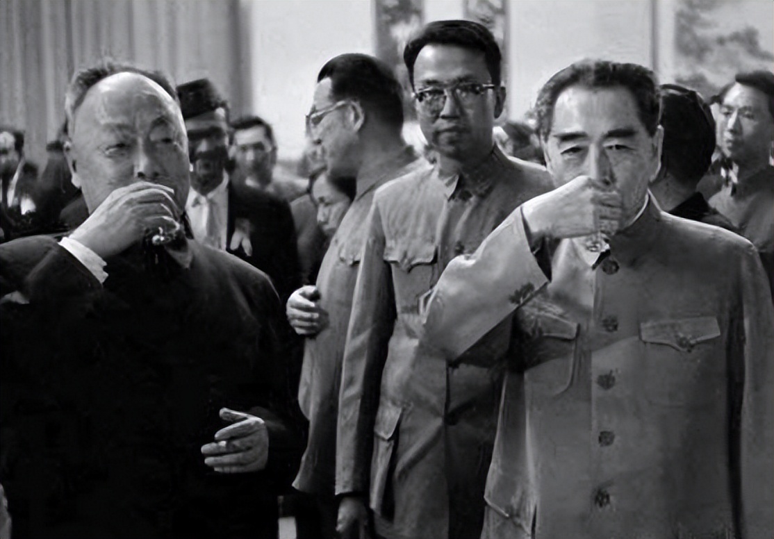 1965年陈毅在国外开会说错一句话，惹周恩来大怒：你无组织无纪律