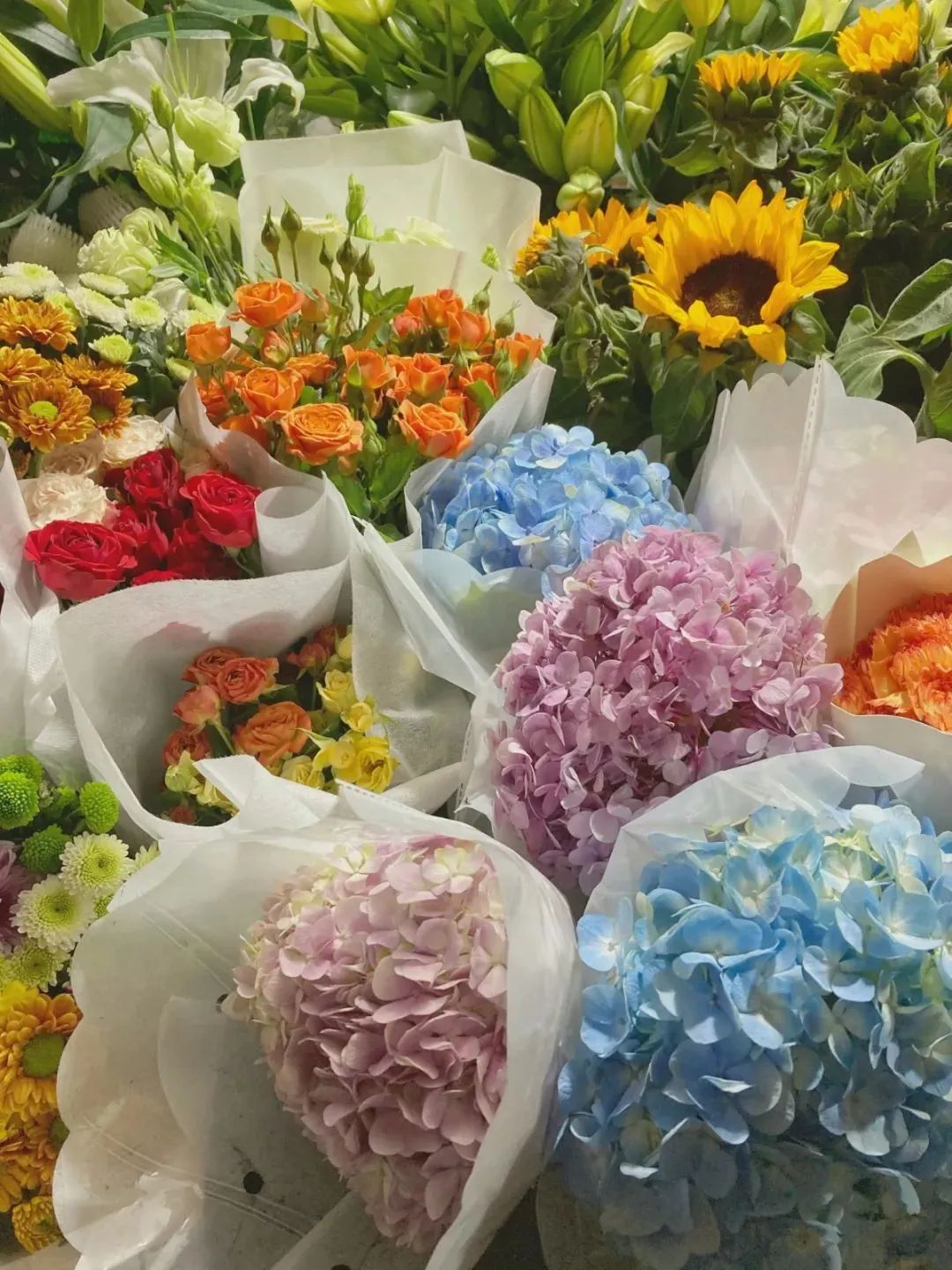 济南花市排名,济南赏花打卡地