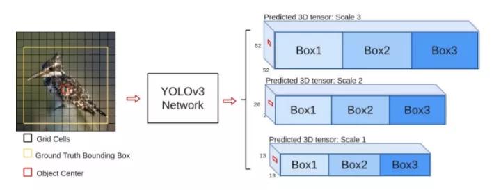 如何快速使用yolo,学习yolo之前要掌握什么知识
