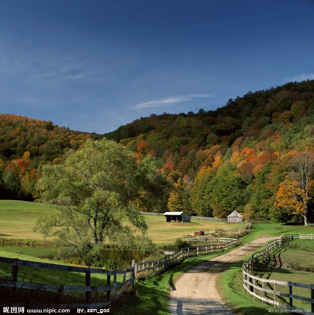 真实大自然风景图片手机壁纸,花草树木壁纸高清风景图片
