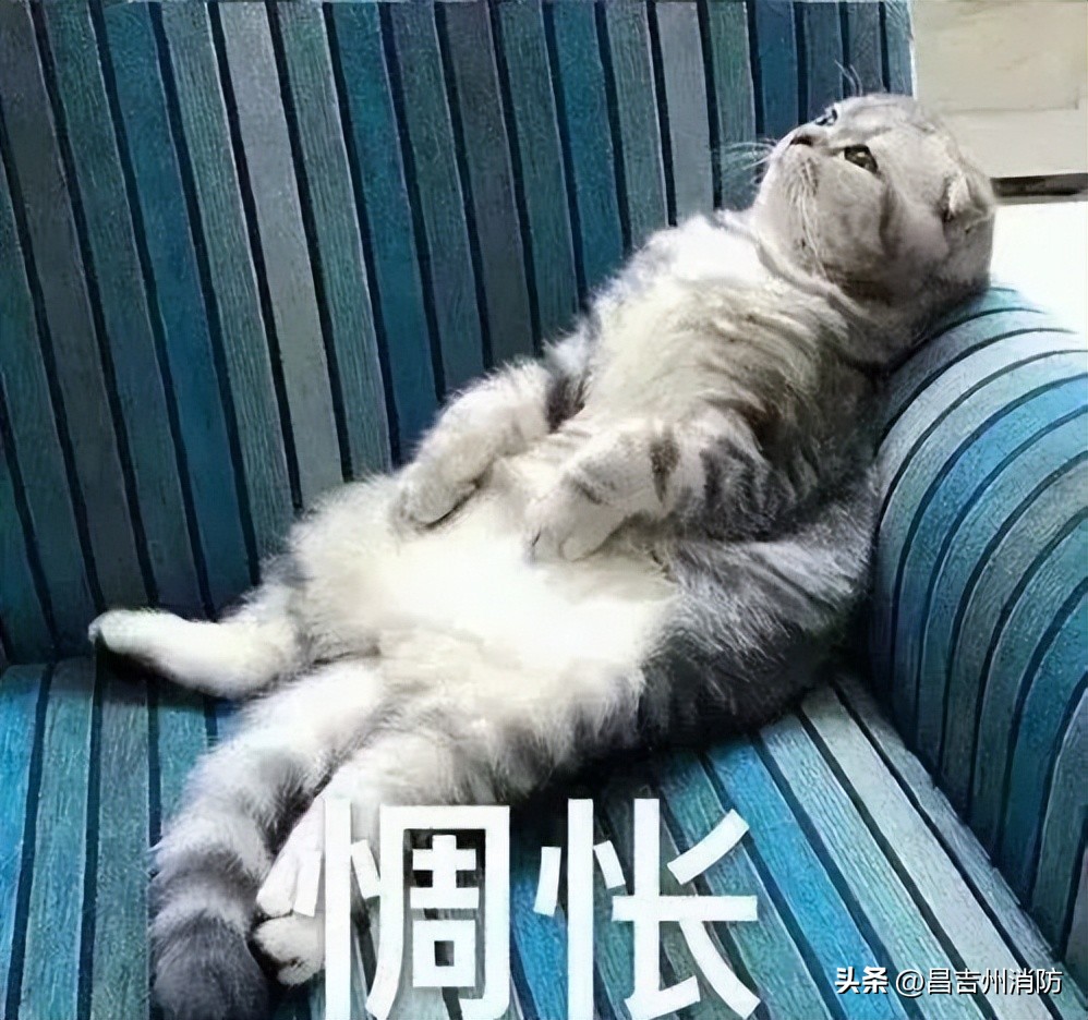 昌吉州暖气不热如何投诉,昌吉集中供暖不热