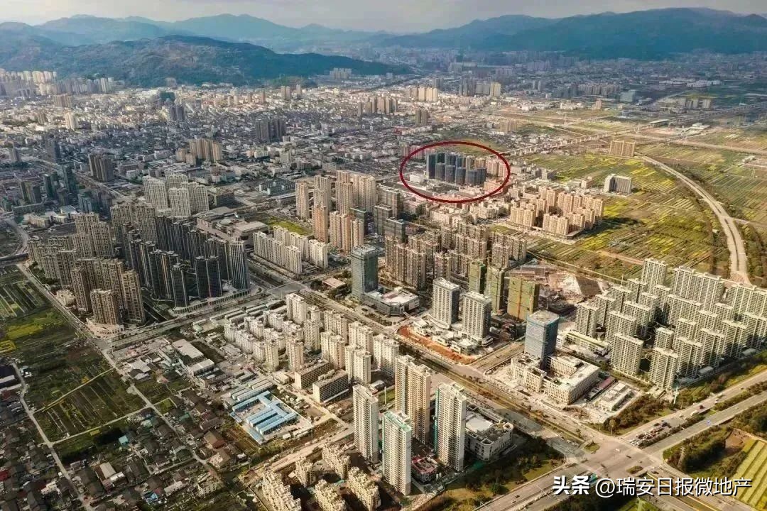 瑞安新区规划图,瑞安市新区最新规划图