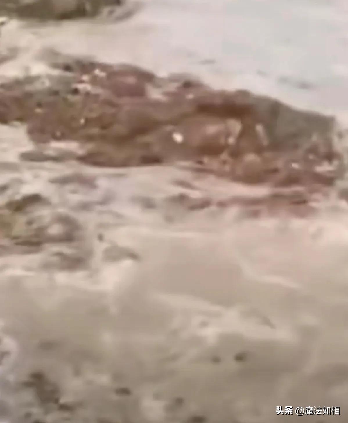 献县，勇于献县，献县不愧为献县