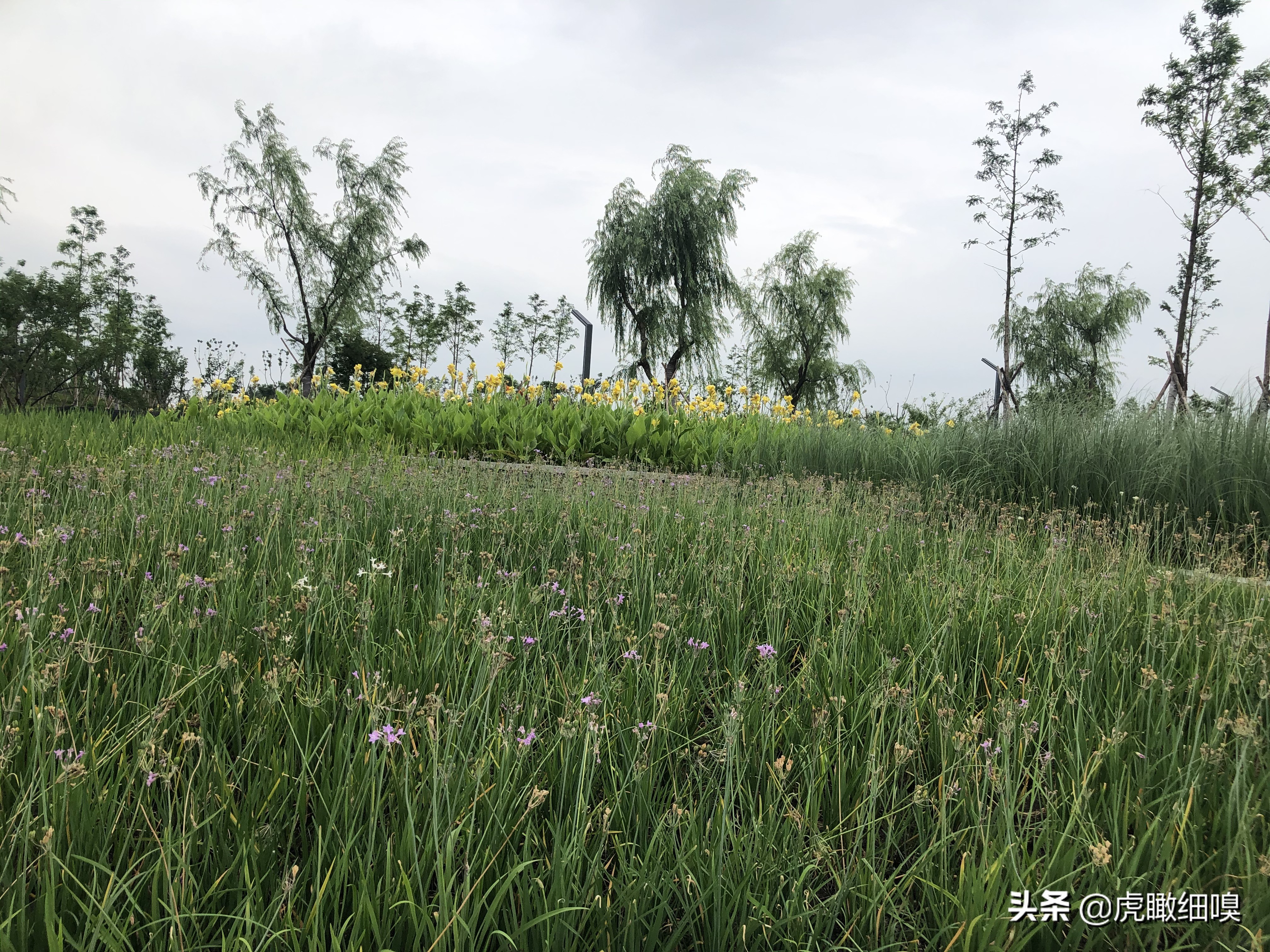 下沙有沙滩的公园,杭州下沙沙滩公园