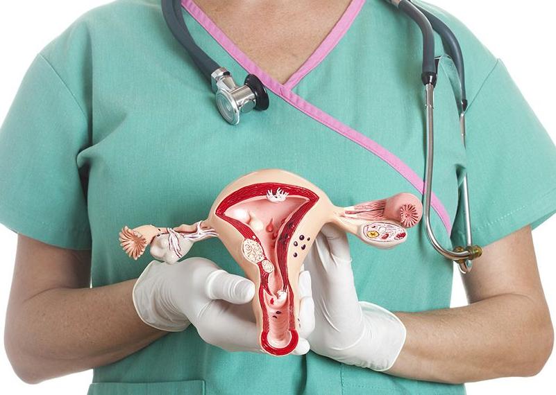 卵巢功能早衰与内分泌失调的区别,长期没有性生活会内分泌失调吗