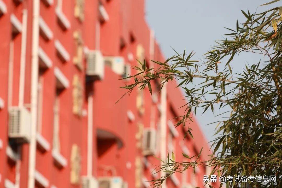 阳光中学2020年教师招聘,西安市第55中学教师招聘