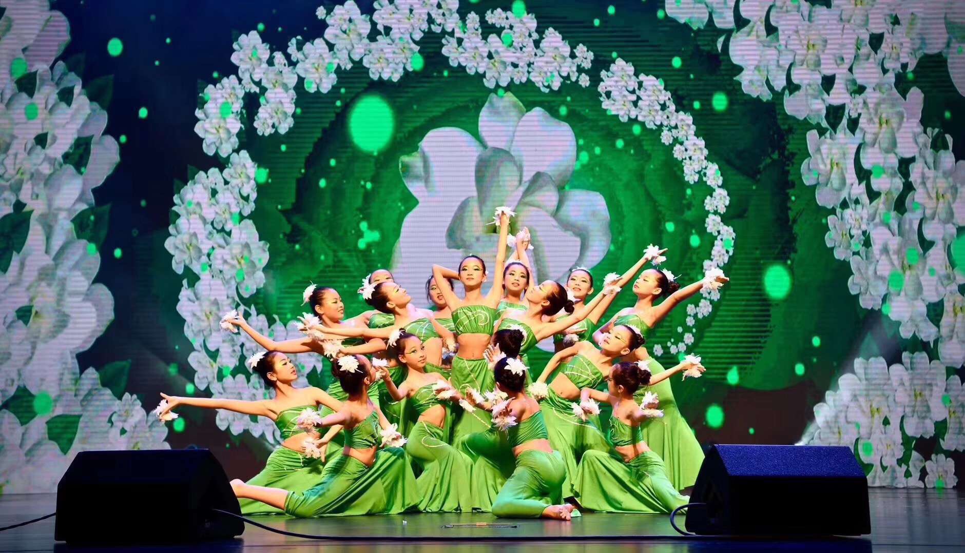 中国舞包含什么舞蹈类型,舞蹈中国舞包含什么和什么