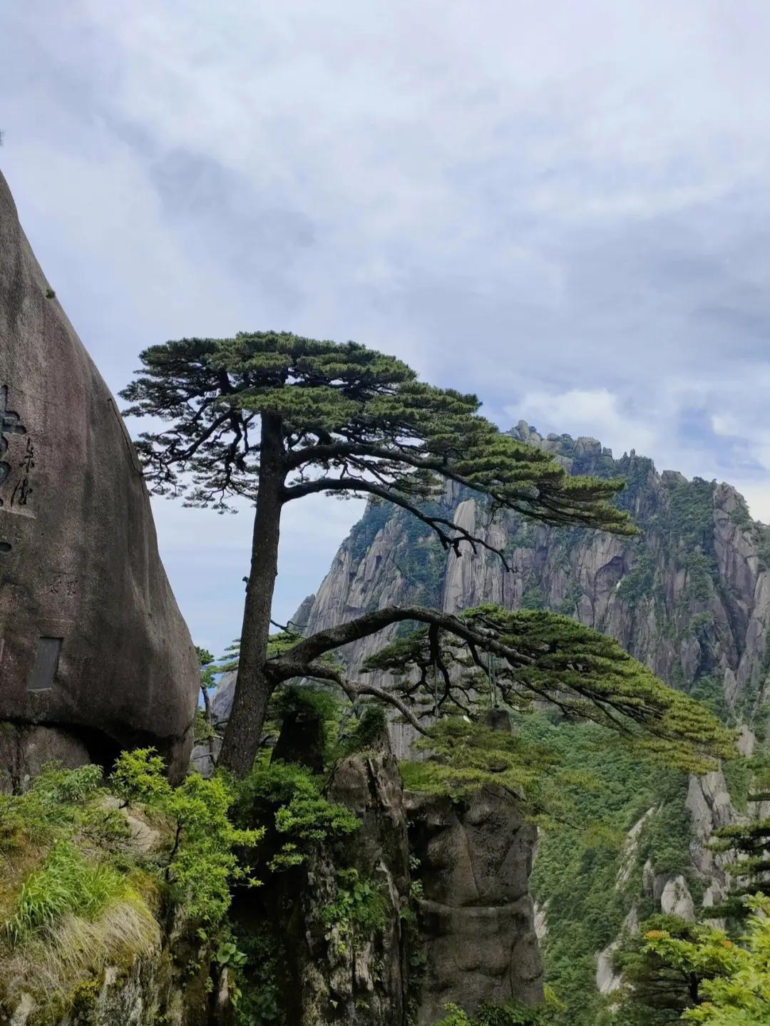 中国十大名山值得爬的,十大名山你爬过哪几座